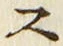𡨸ス