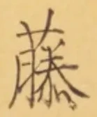 글자 藤