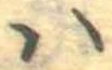 𛂞 위치 확인됨