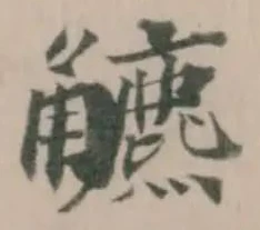 𧥍 위치 확인됨