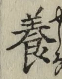 Chữ 養