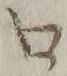 文字口