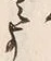 文字 よ