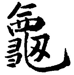 已定位亀