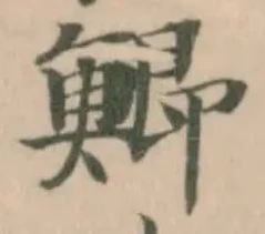 鯽の位置