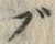 文字ぶ