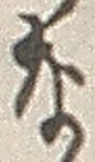 𡨸な