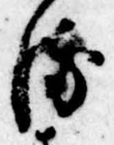 位置 確認된 𛃸