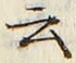 “云”字