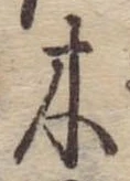 位置 確認된 木