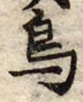 鳥 위치 확인됨