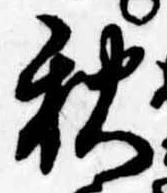 秋 위치 확인됨