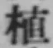 글자 植