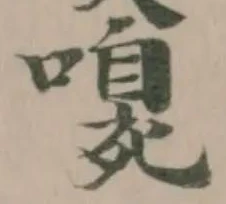 嗅の位置