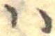 𛂞の位置