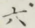 Character 六