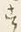 文字 す