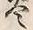 文字炎