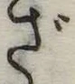 ざ 위치 확인됨