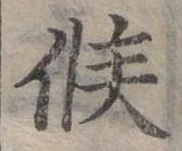 位置 確認된 候