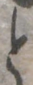 位置 確認된 と