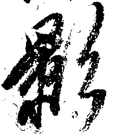 影 위치 확인됨