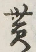貰の位置