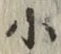 글자 小