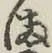 글자 ま