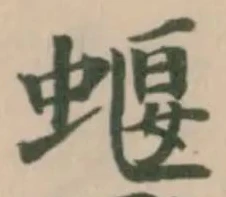 蝘 위치 확인됨