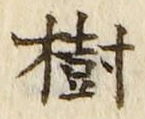 “樹”字