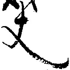 已定位丈