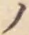 字ノ