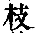 文字枝