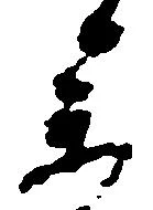 参の位置