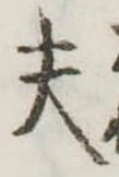 Đã định vị 夫