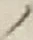 “ノ”字