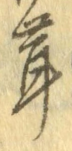 茸 위치 확인됨