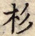 位置定マレル杉