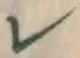 文字レ