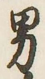 位置定マレル男