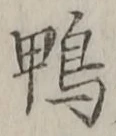 글자 鴨