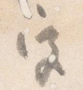宮 위치 확인됨