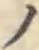 字ノ