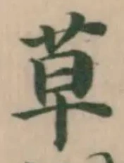 草 위치 확인됨