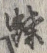 已定位蝶