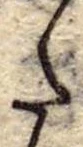 𛁠 위치 확인됨