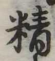 精 위치 확인됨