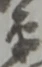 嵩の位置