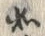 文字如